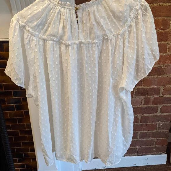 J. Crew Gathered Bib Draper Swiss Dot Blouse L - bought NWT, but worn gently - Picture 2 of 5